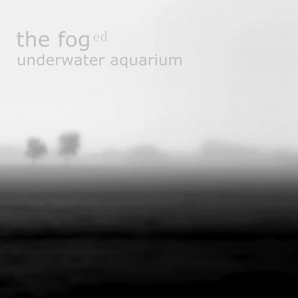 the fog[ed]
