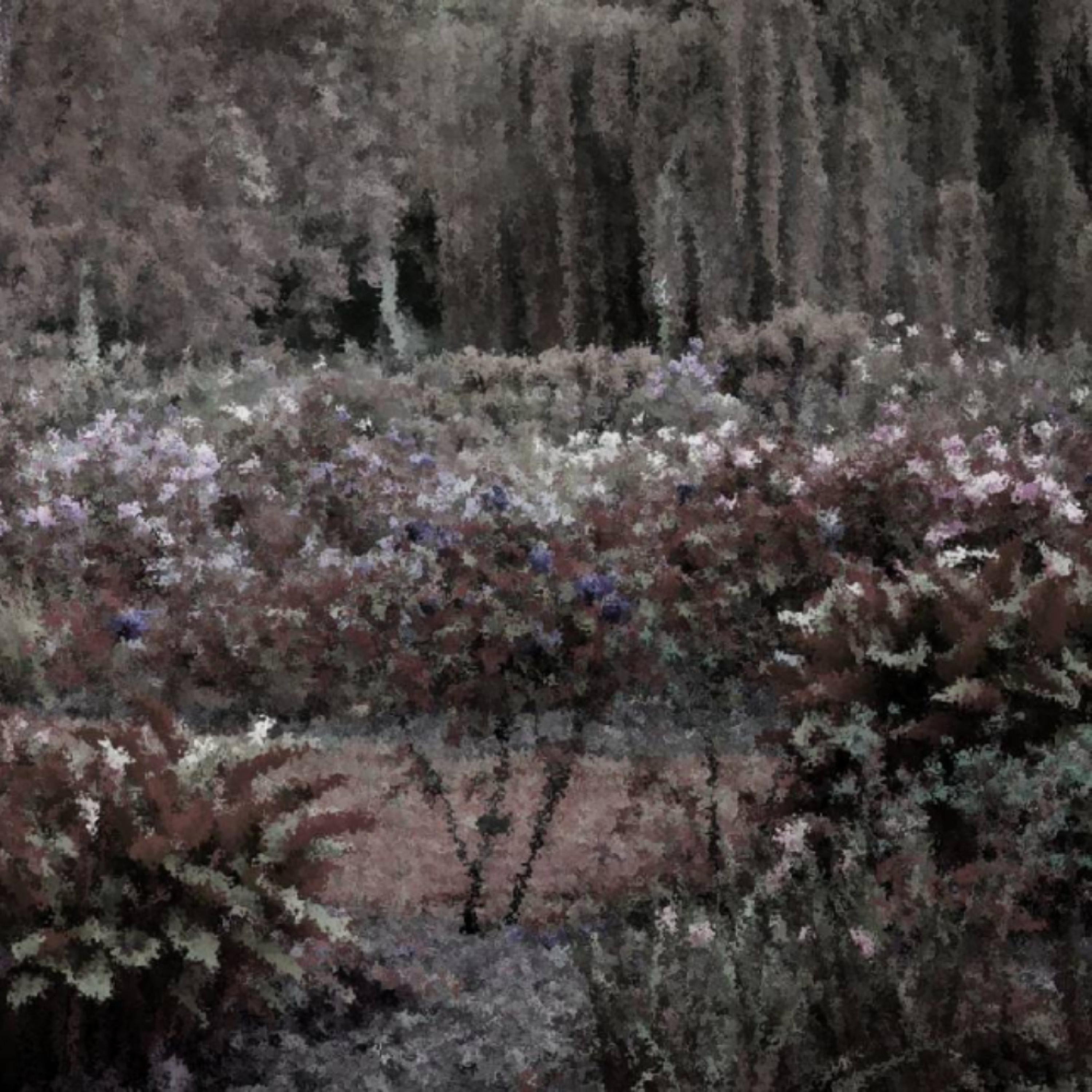 Life Is A Garden (feat. emotions)