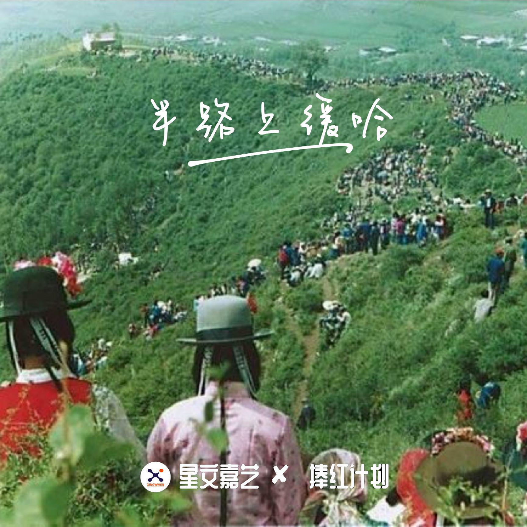 半路上缓哈