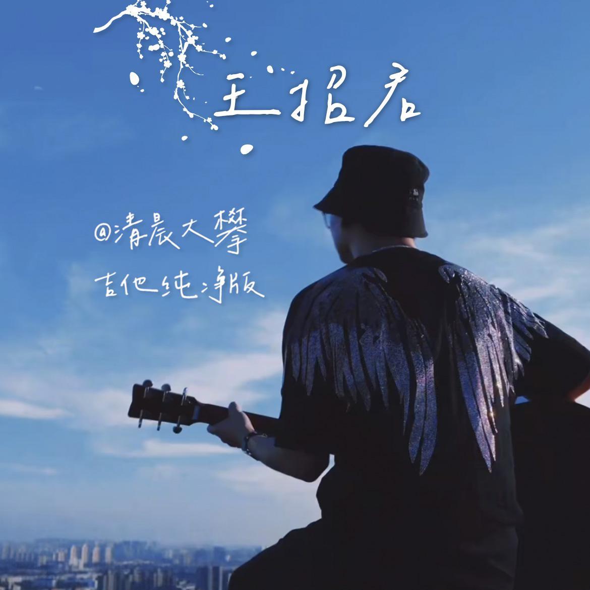 王招君