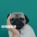 别找我麻烦