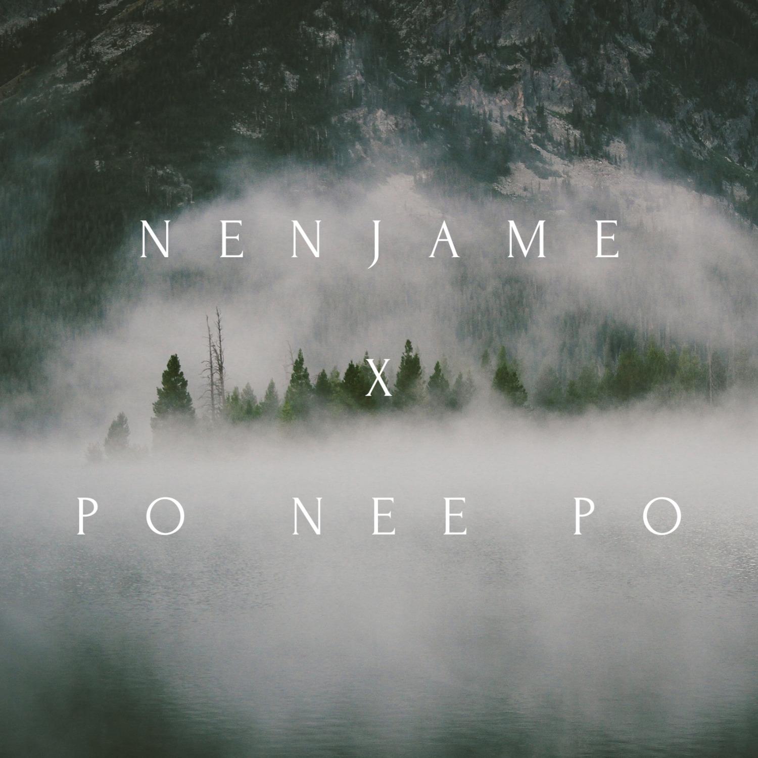 Nenjame X Po Nee Po