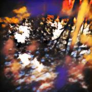 Autumn Swing Single