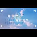 好像掉进爱情海里（cover 赵露思）专辑