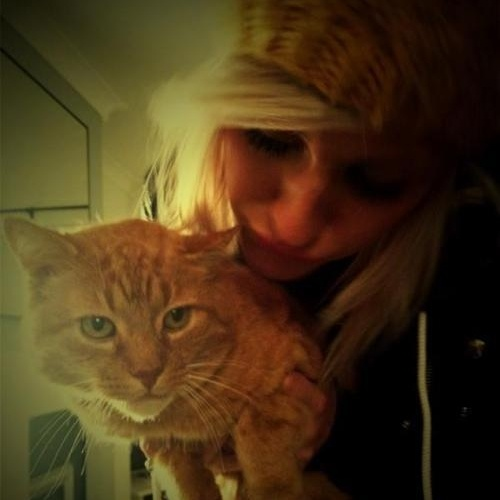 Your Missing Cat Is ****ing Dead