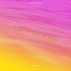 I don't know why(Prod.by Jungle)