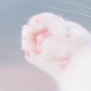 超甜Rap｜♥︎给 喜 歡 的 人 听 ♥︎