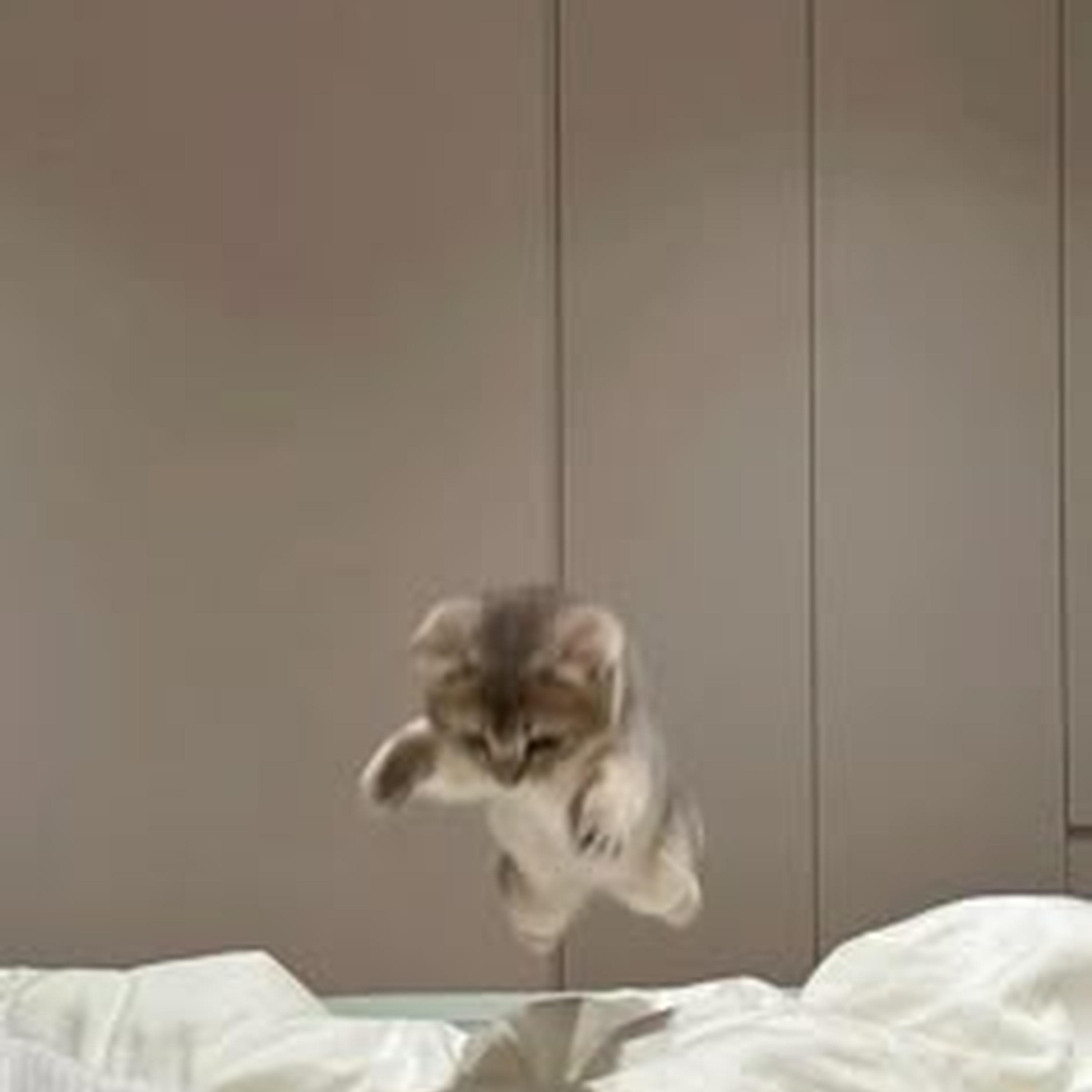 Dre's Beat (sped up)