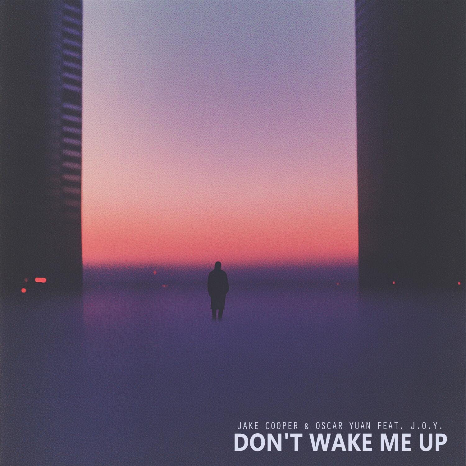 Don't Wake Me Up