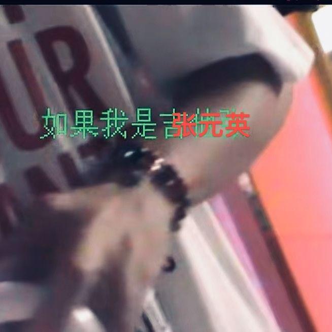 如果我是张元英，那你就不要我的柳智敏