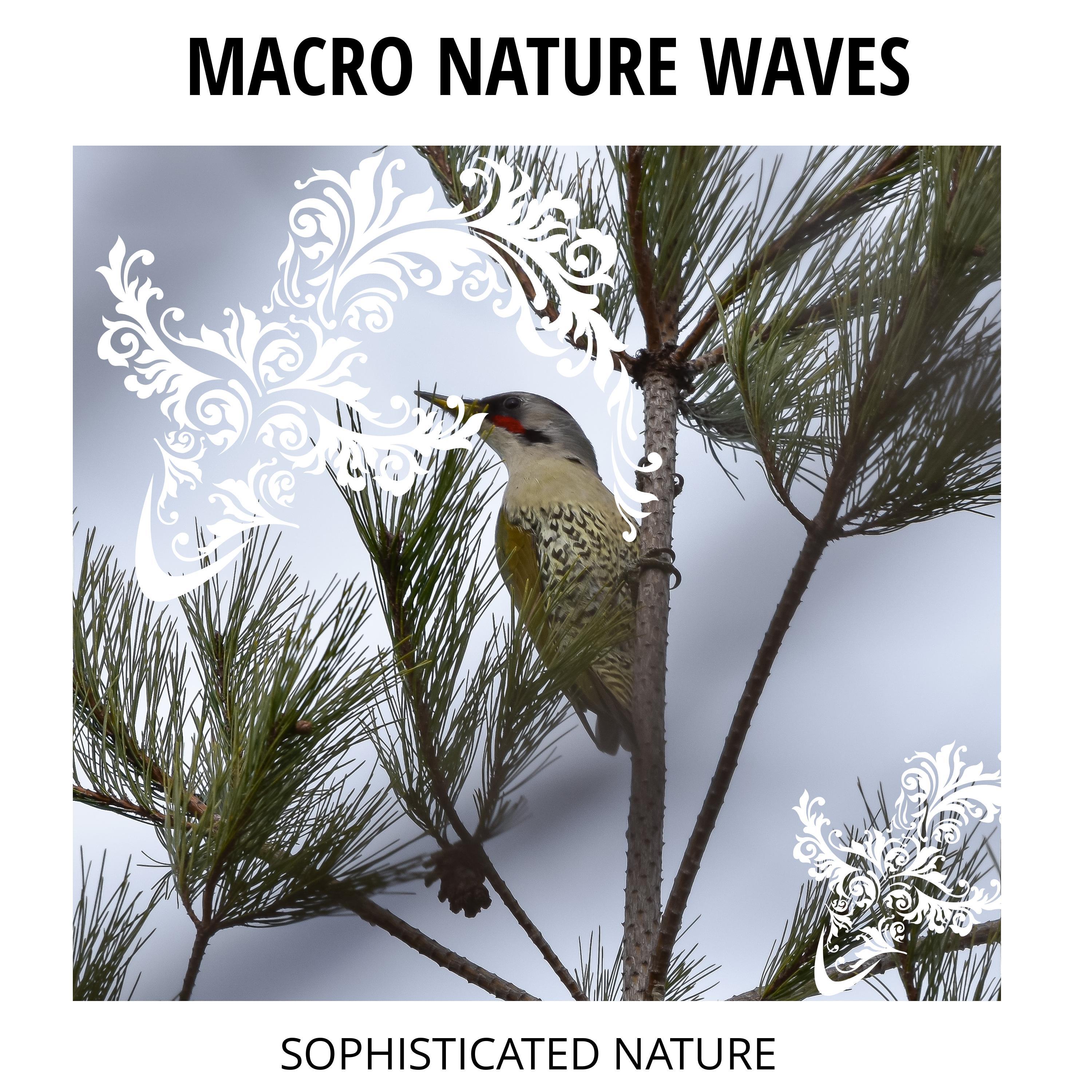 Oceanic Buzz 16D Nature Music - Extreme North Waves