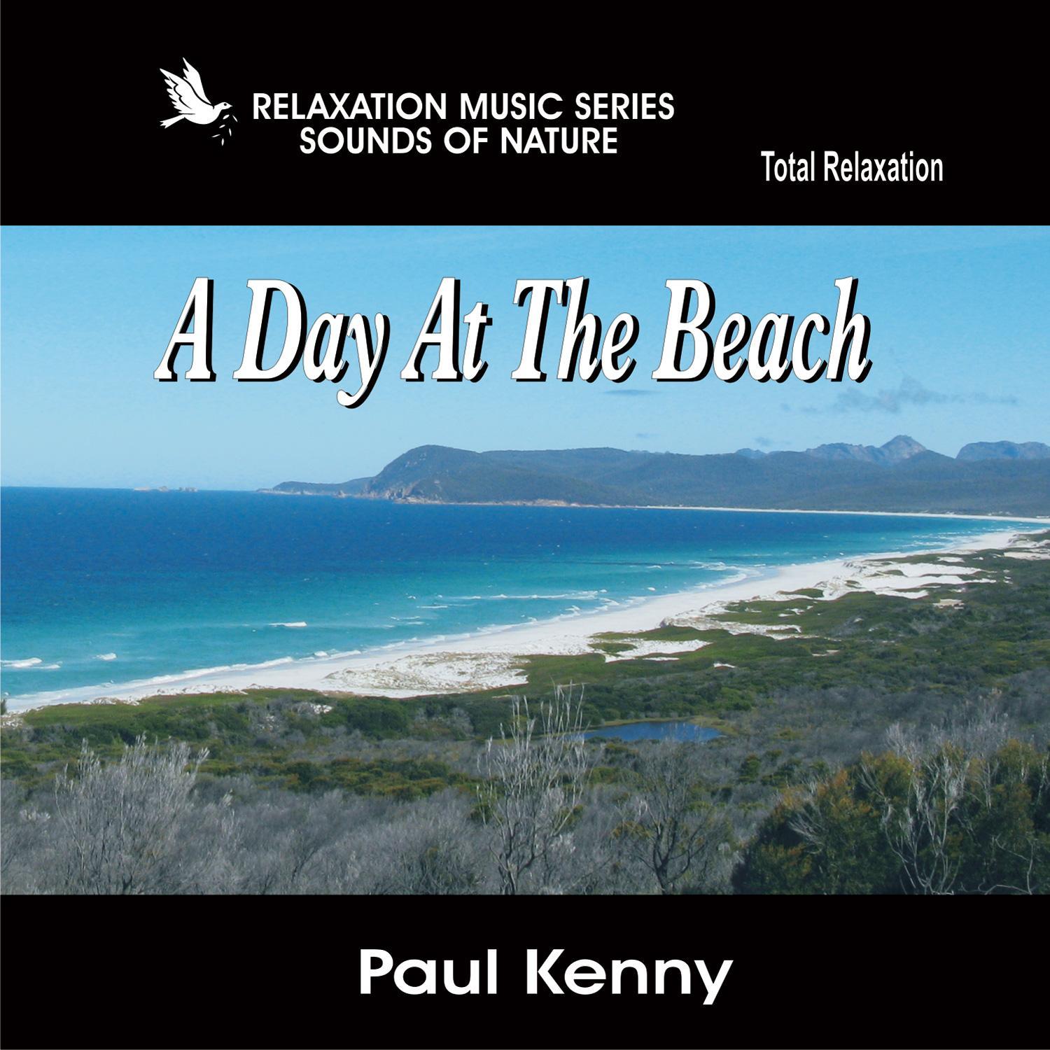 A Day At The Beach