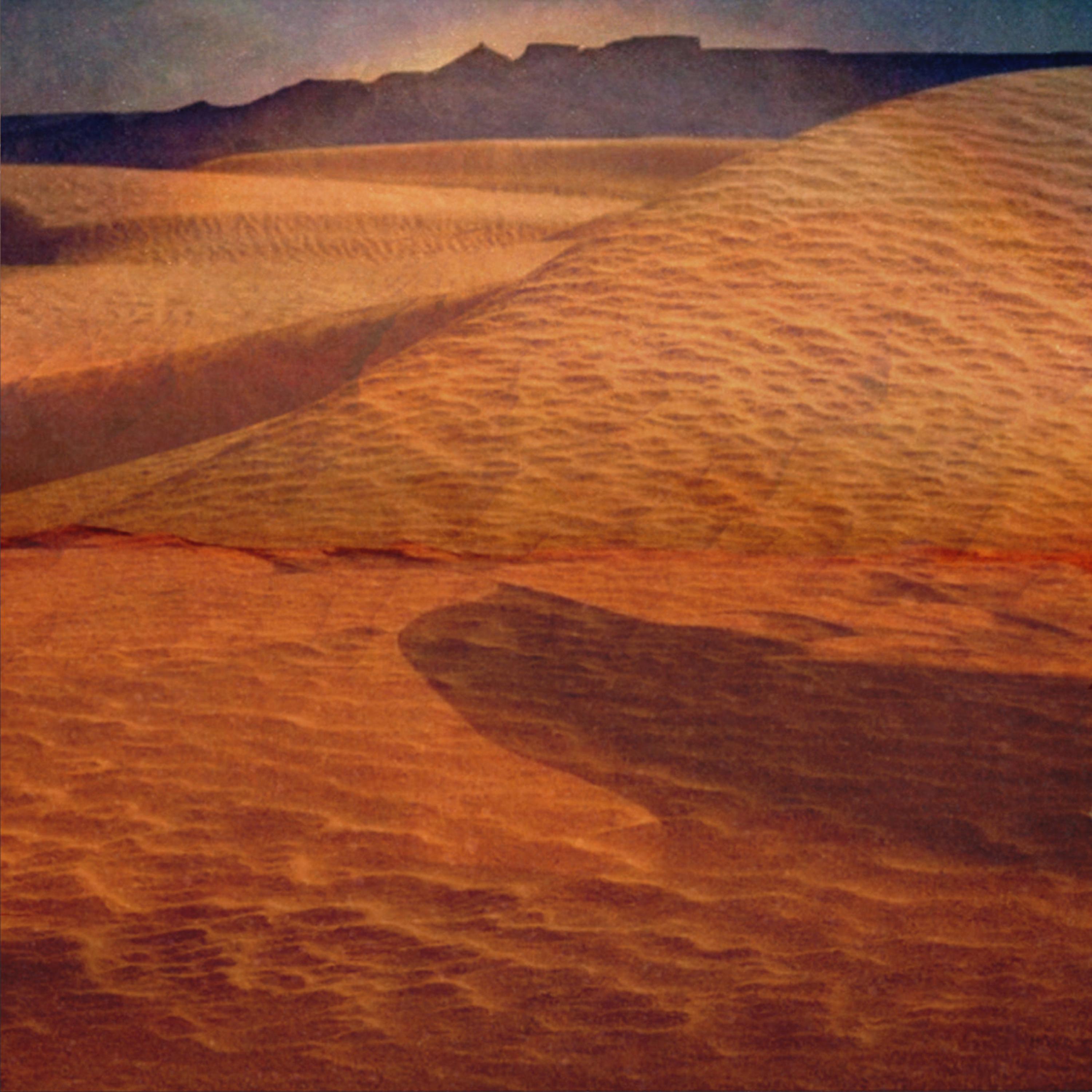 As the Desert Blooms