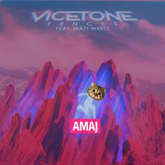 Vicetone-Fences（Amaj remix）