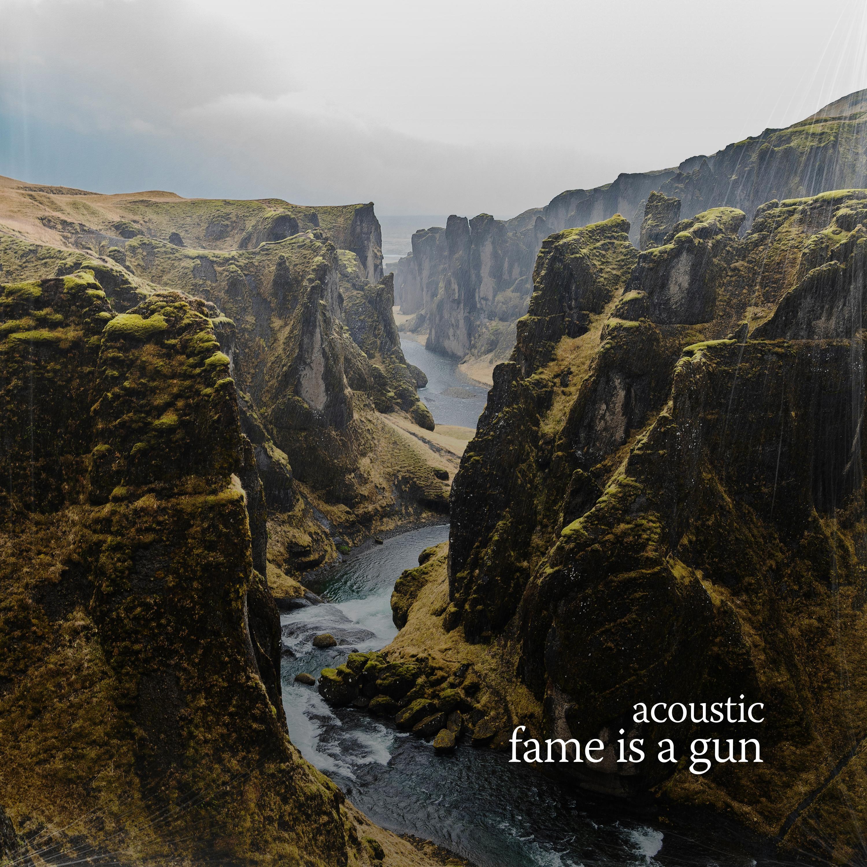 fame is a gun (acoustic)