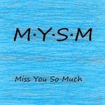 MYSM(Miss You So Much)专辑