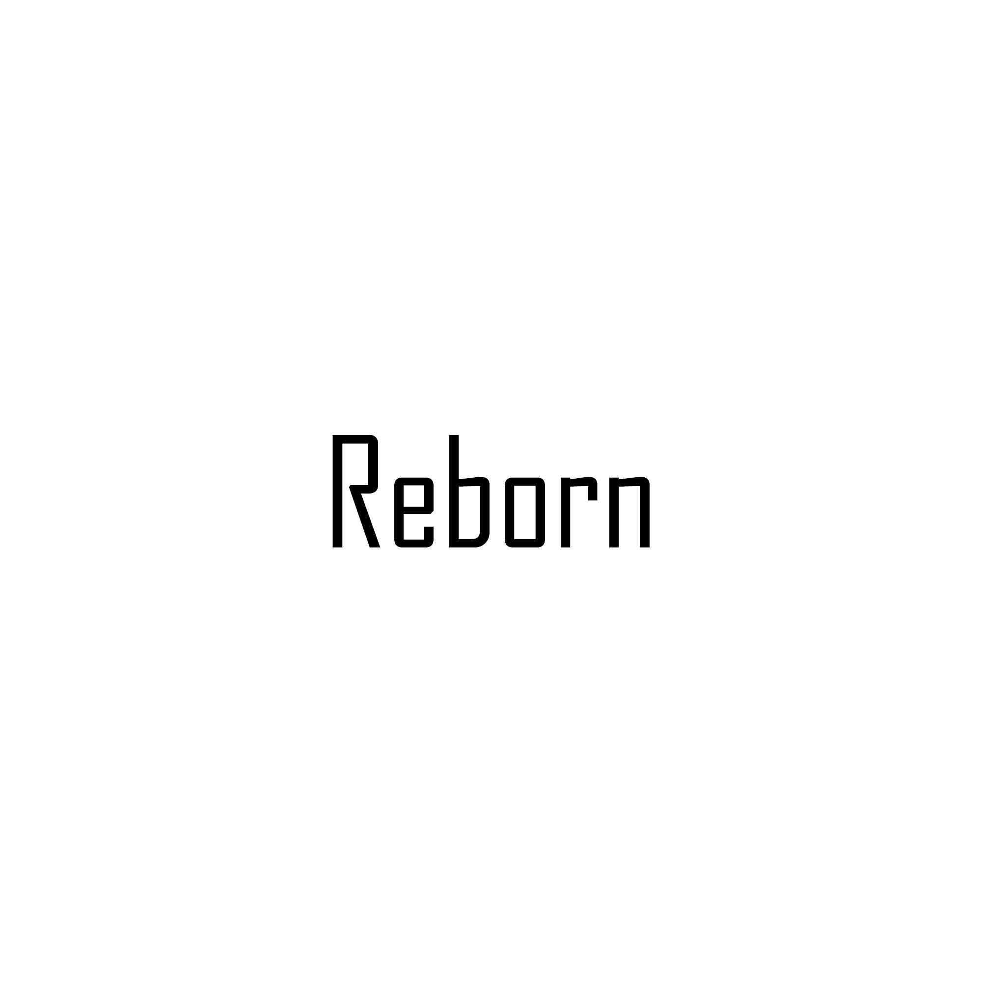 Reborn专辑