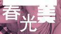 春光美专辑