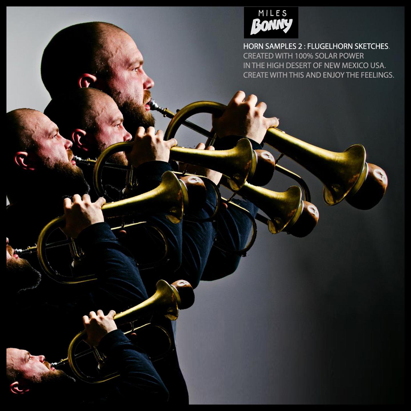 Flugelhorn Horn Samples for Beat Makers and Producers