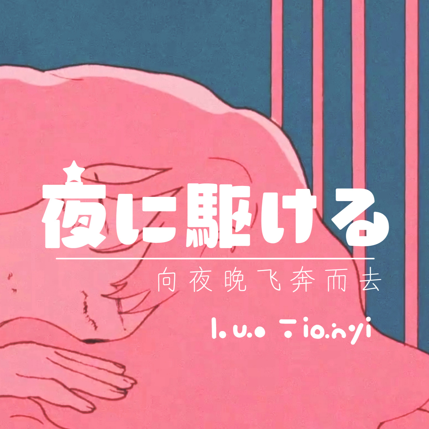 向夜晚飞奔而去/夜に駆ける
