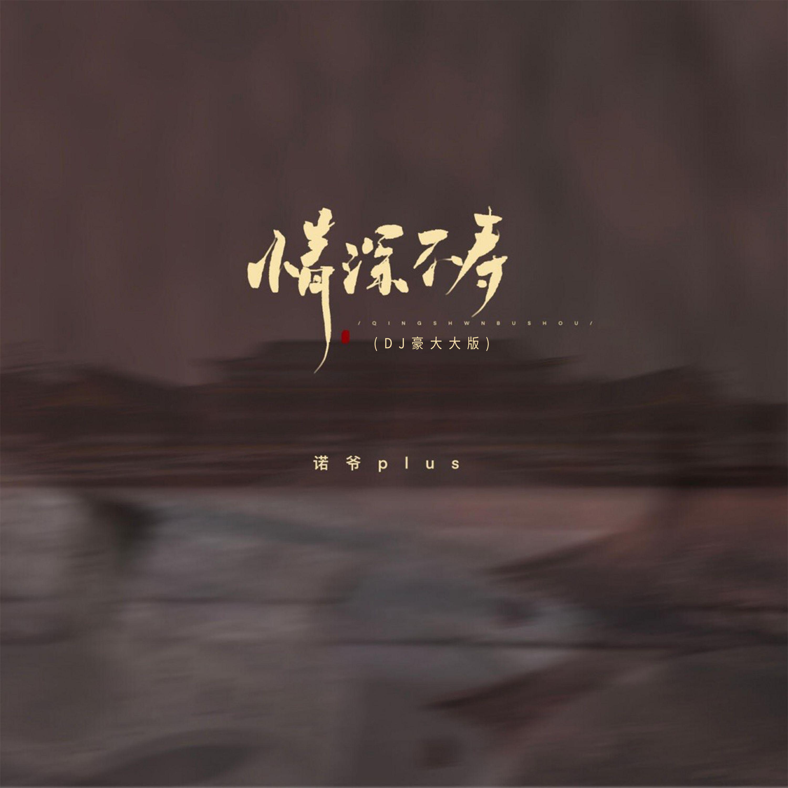 情深不寿（DJ豪大大版）专辑