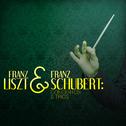 Franz Liszt & Franz Schubert: Concertos & Trios