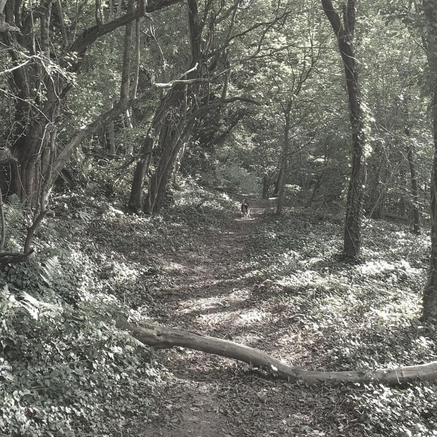 The One That Got Away