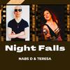 Nabs D - Night Falls