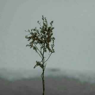 这一生关于你的风景