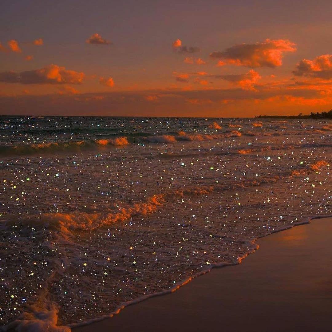 Coastal Sunset \\ $CC731