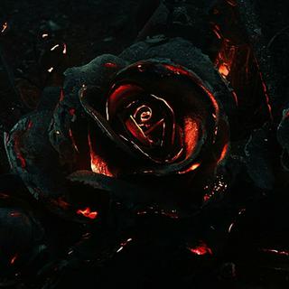 摇滚 - 生命是朵抗争的怒放伤花