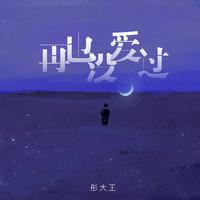 彤大王 - 世间人心太假(DJ彭锐版伴奏)