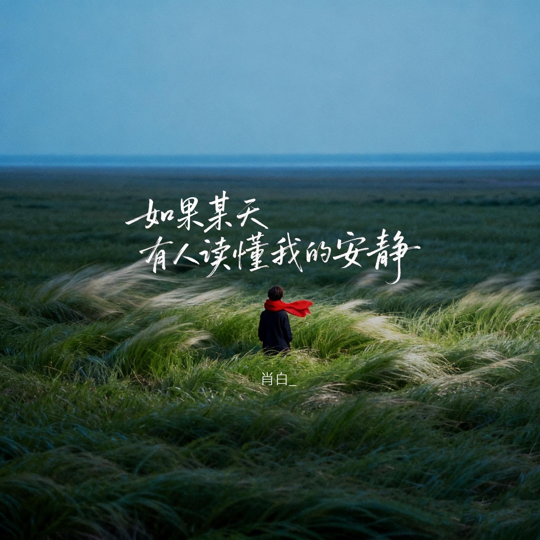 如果某天有人读懂我的安静