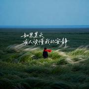 如果某天有人读懂我的安静