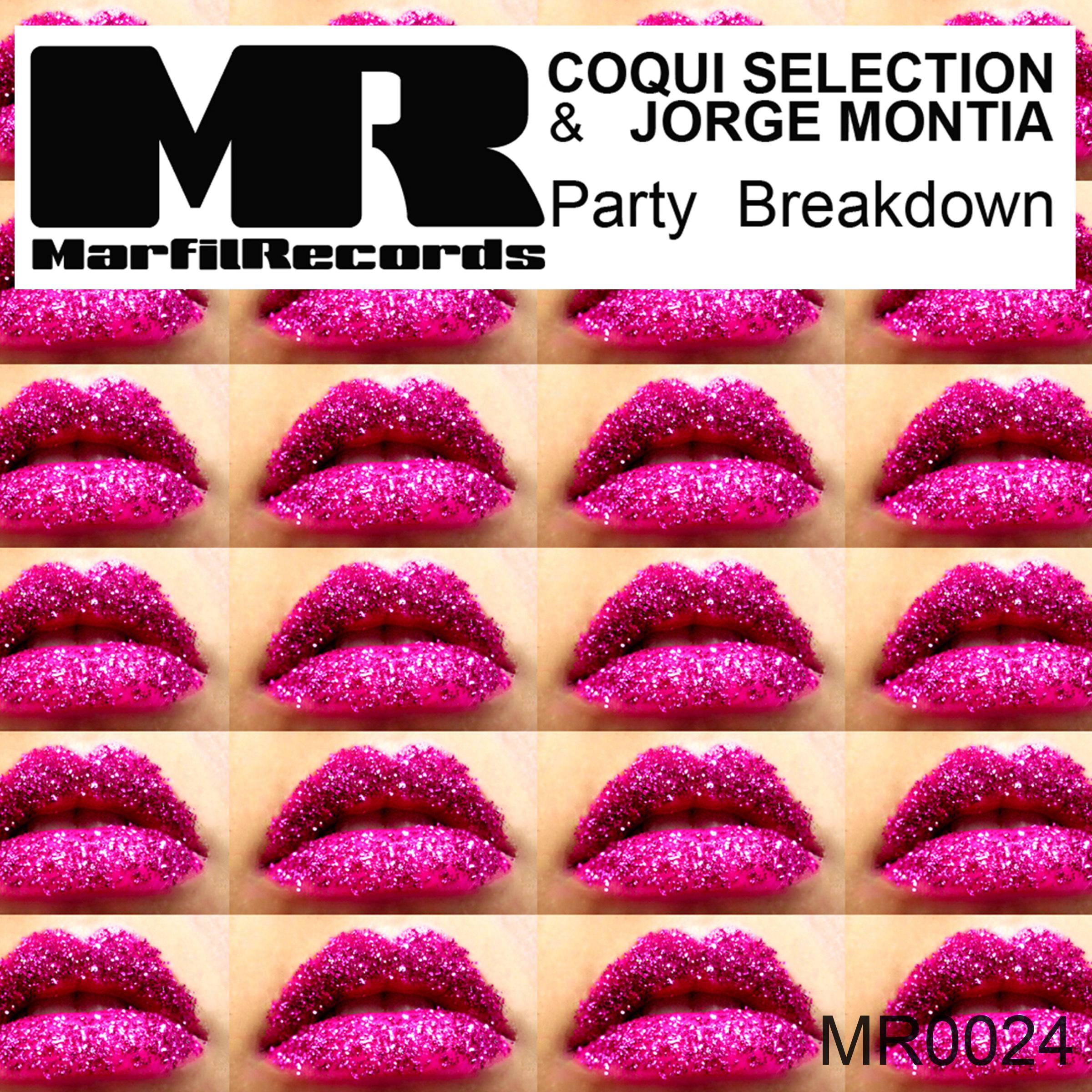 Party Breakdown