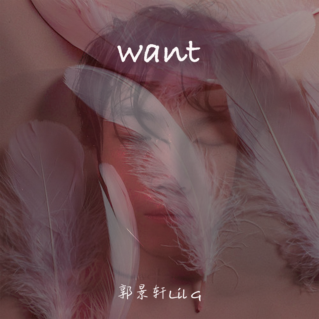 想（Want）
