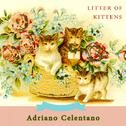 Litter Of Kittens专辑