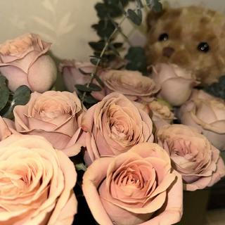 le | 想她的时候听！细腻的女孩的歌