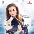 Topeşte-Mi Iarna