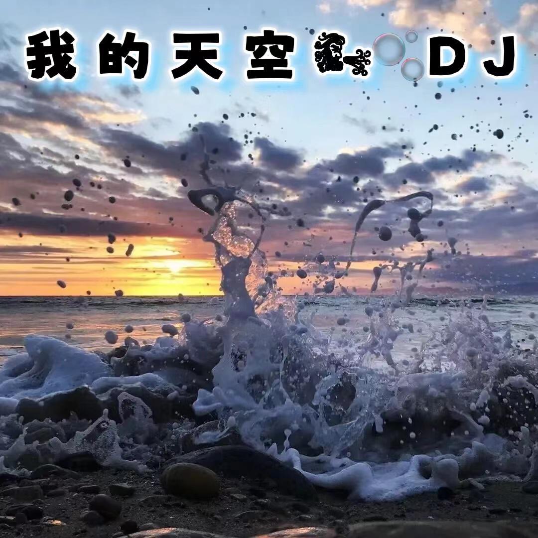 罗应桥 - 我的天空 (DJ版)