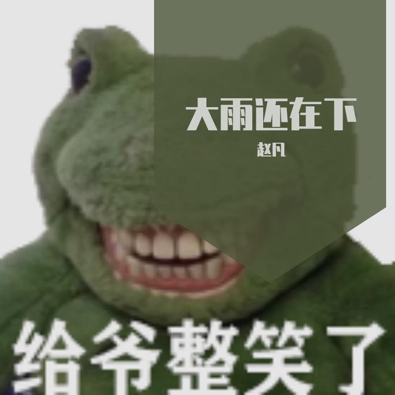 大雨还在下（抖音版）