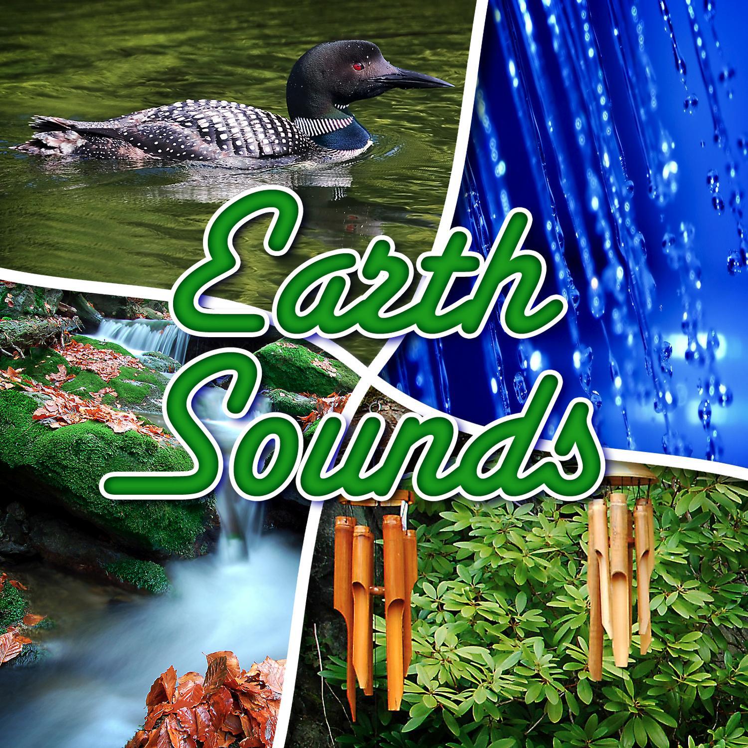 Earths Sounds专辑