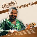 Fundamental - Arlindo Cruz专辑