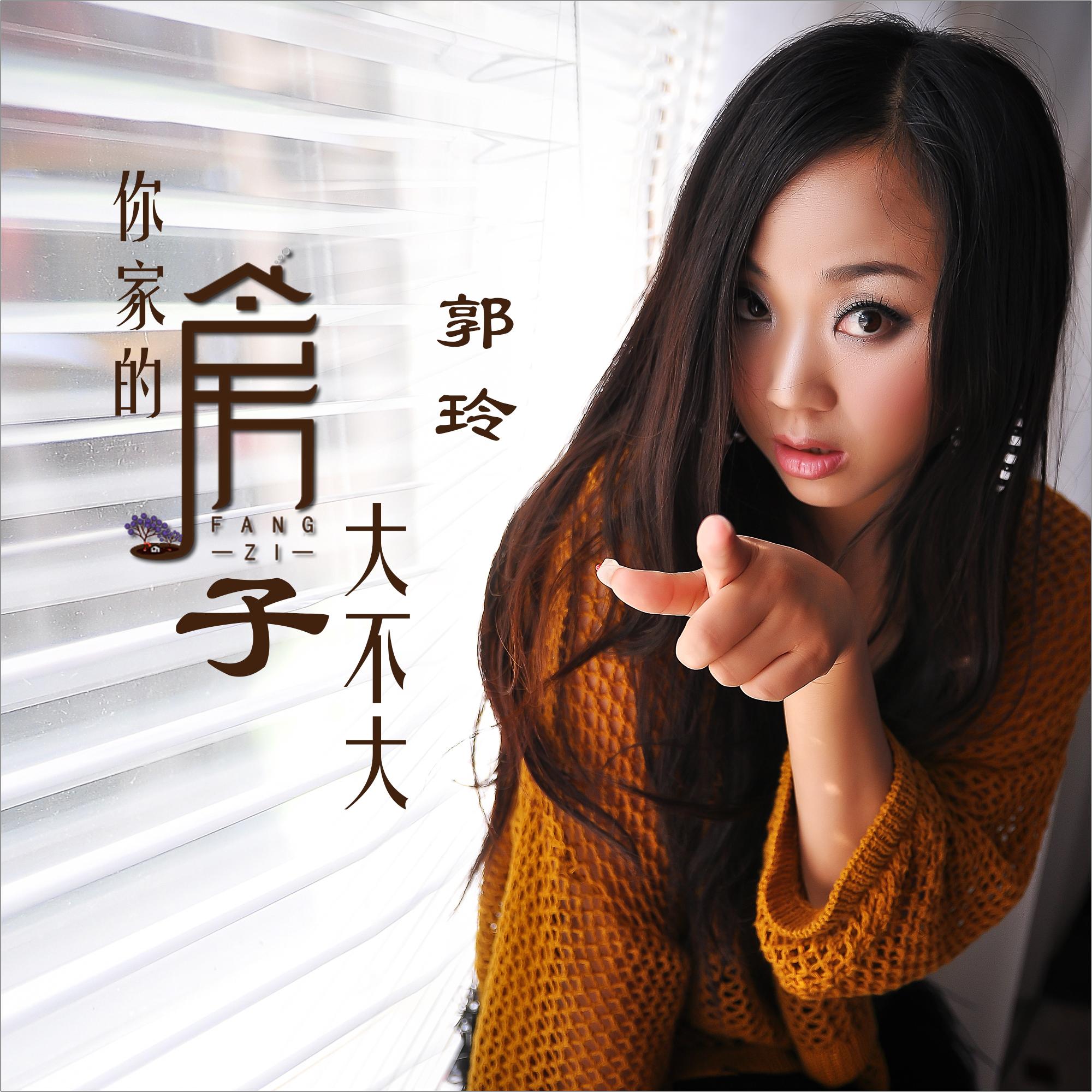 你家的房子大不大 (DJ何鹏版)