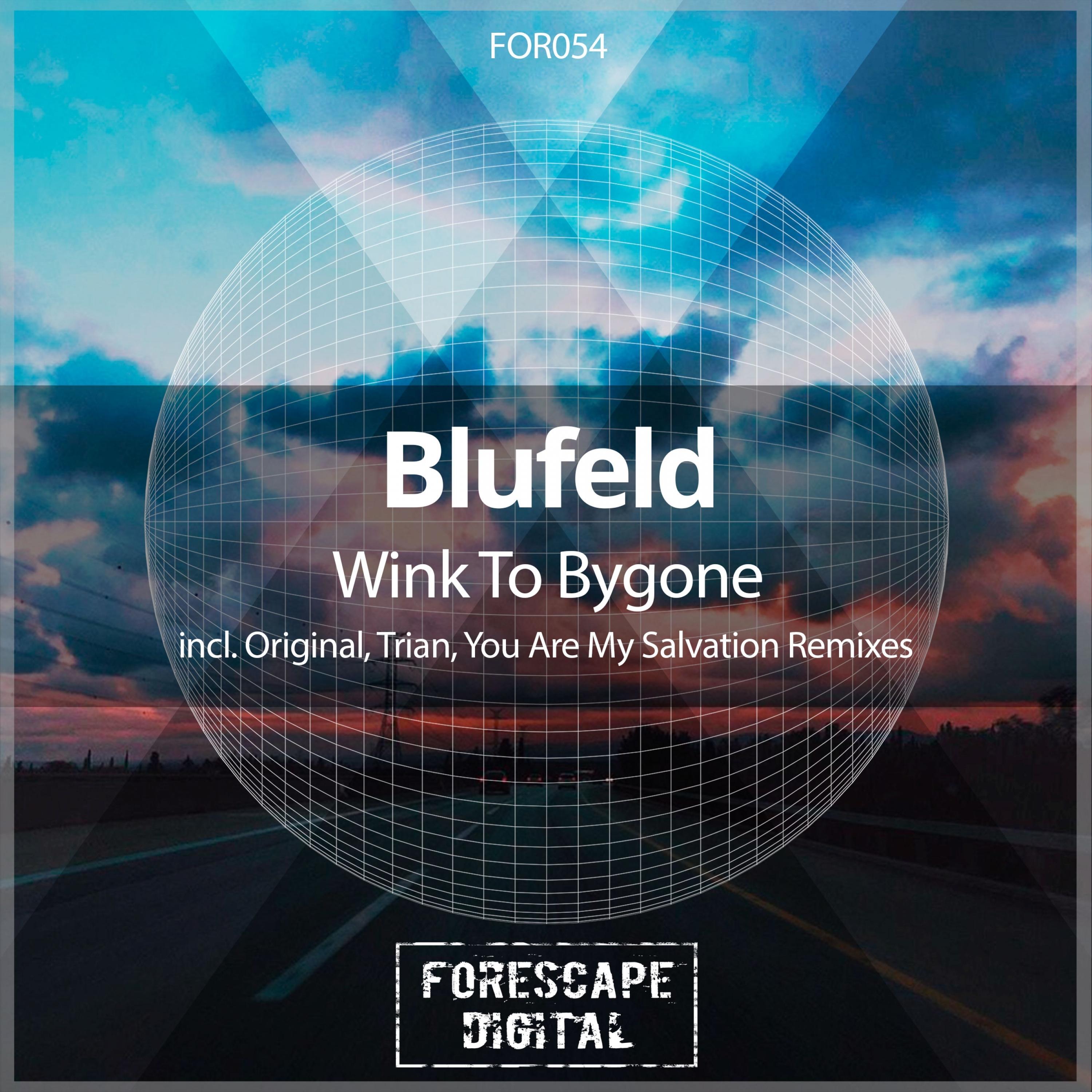 Wink to Bygone (Original Mix)