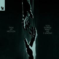 Tiga & Meduza - You Gonna Want Me (I Know Extended Mix) 128