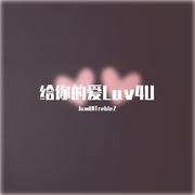 给你的爱Luv4U专辑