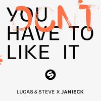 Lucas & Steve ft. Janieck - You Don’t Have To Like It (消音版) 带和声伴奏