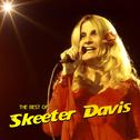 The Best Of Skeeter Davis专辑