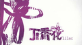 丁香花专辑